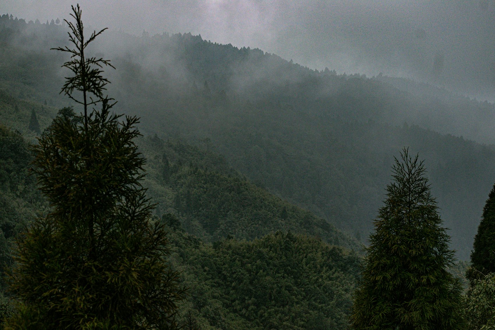 Low cloud sitting in the Ffrwd Valley